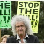 brian_may_stop_the_cull_6875269