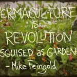 permaculture-is-revolution-582683_3924468344660_560012871_n