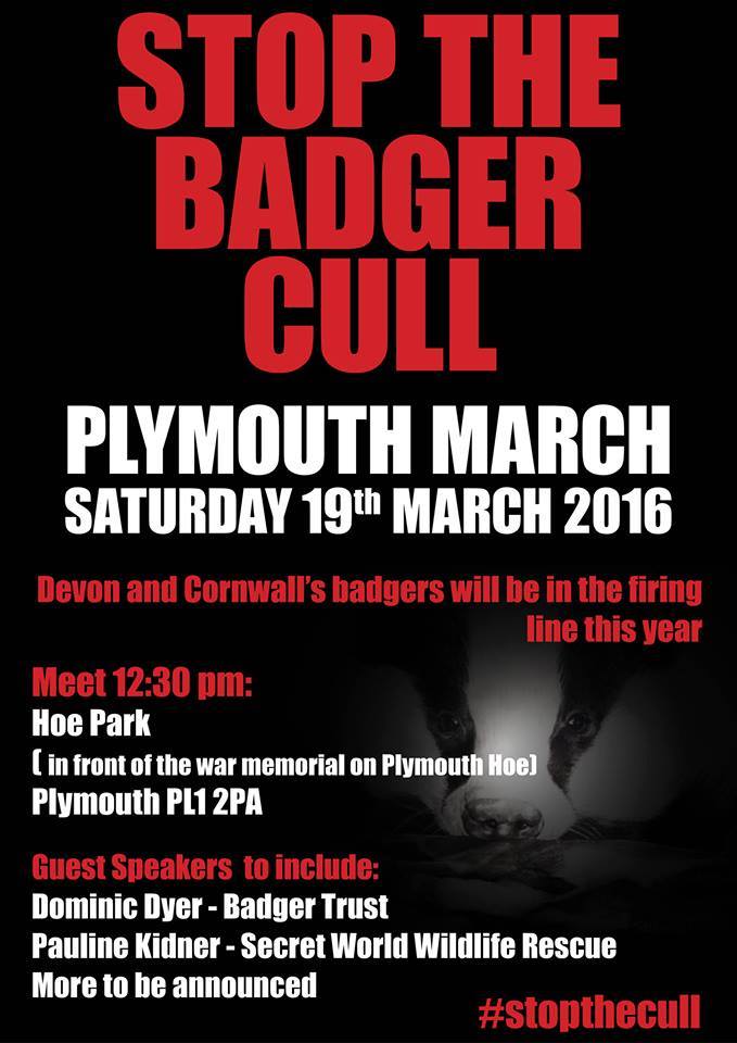 Badger march Plymouth