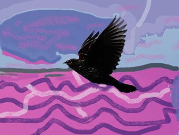 blackbird blacker & colouredFINAL