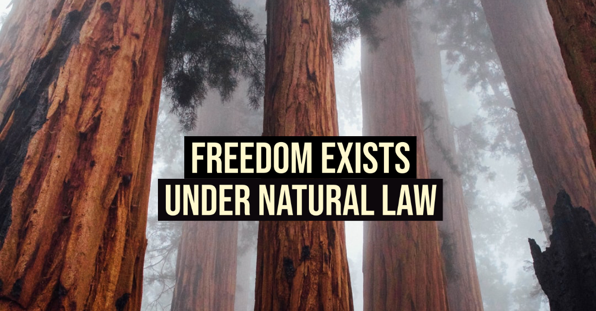 Freedom Exists Under Natural Law | IT