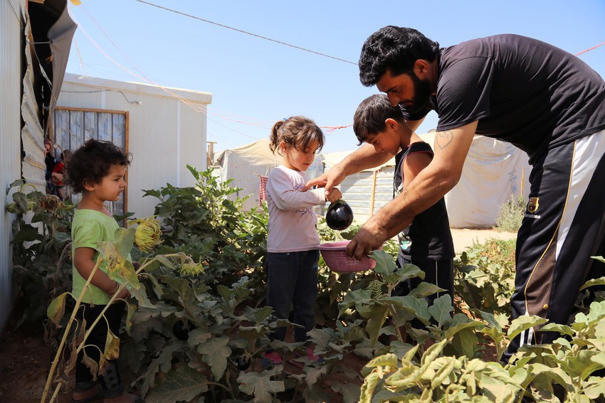 Mazen and his children pick vegetables from their garden  Mazen and his two wives and seven children have been living in Zaâatari camp for over two years. A previous car mechanic back in Syria, Mazen's family lived in a large house with a beautiful garden in Daraa. âIâve been gardening ever since I was little. My dad used to love gardening and I learnt from him. You can say I started when I was 16 years old.   I used to come back from work tired and exhausted, and see the desert all around me. I wanted to create a space that made me one step closer to home. Even the smell of air is different when there are plants around. Especially in this place where there is a lot of dust and heat, you need plants. Plants make it a bit cooler here.â 